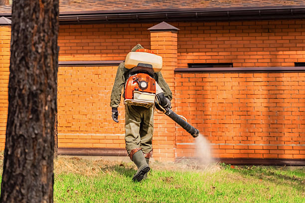 Trusted Emergency Pest Control service in Seeley Lake, MT - Nex Pest Control